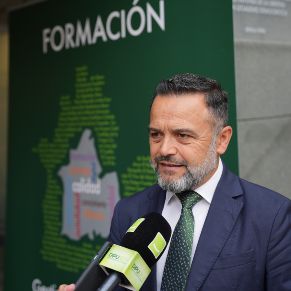 5DIPUTADO